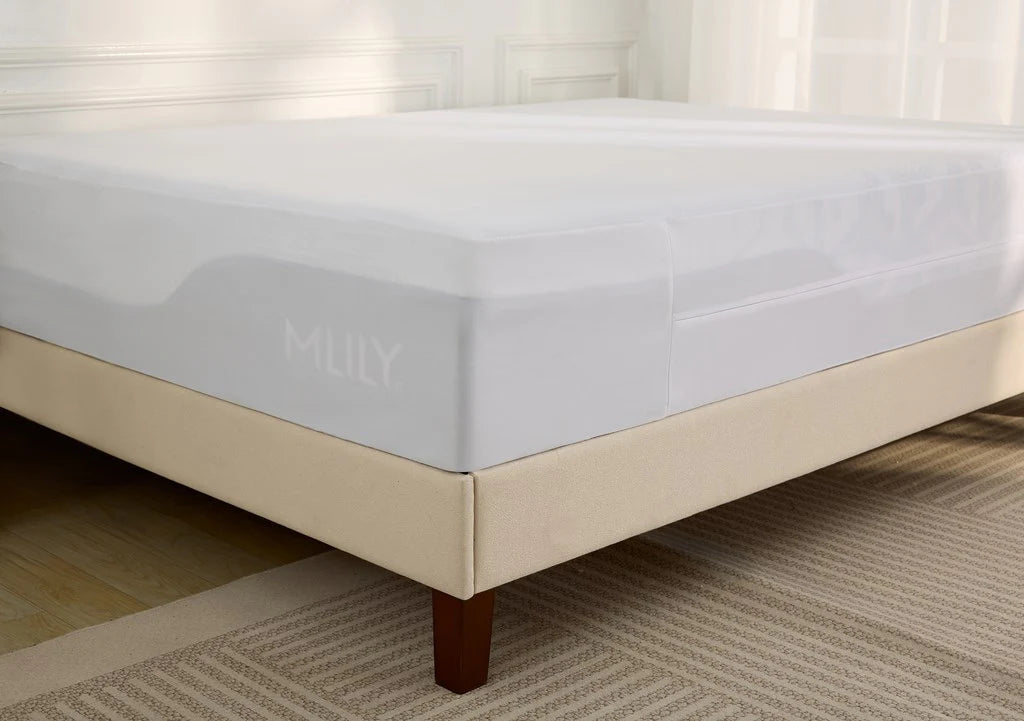 Bed Bug/Liquid Mattress Protector STR