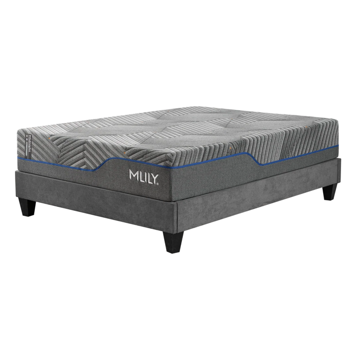 Midnight 3.0 Medium Plush