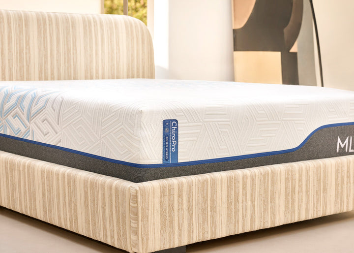 ChiroPro  3.0 Medium Plush
