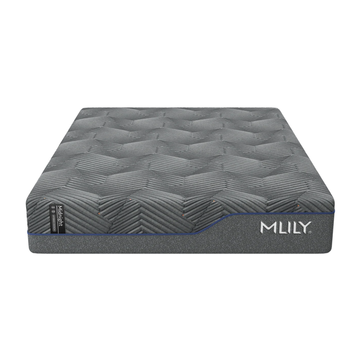 Midnight 3.0 Medium Plush