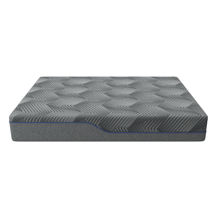 Midnight 3.0 Medium Plush