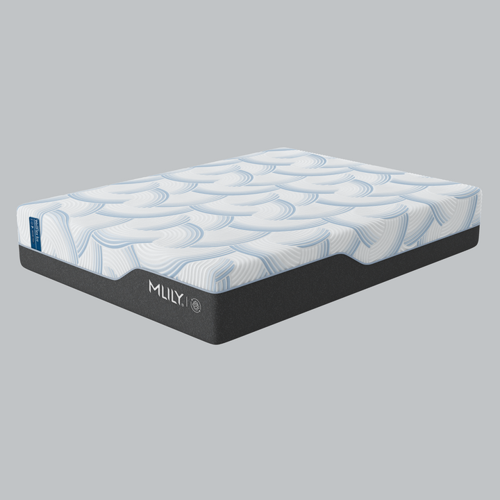 WellFlex Ice 1.0